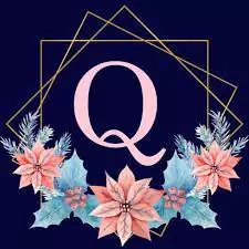 q whatsapp dp